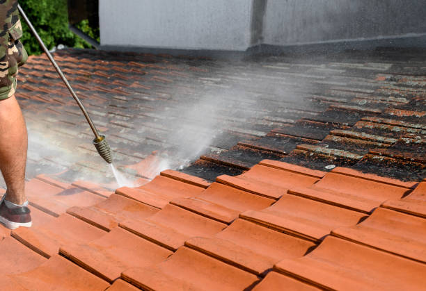 Best Concrete Pressure Washing  in Enterprise, UT