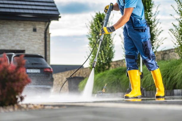 Best Roof Pressure Washing  in Enterprise, UT